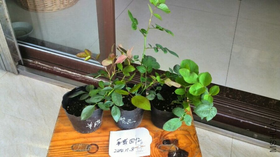 QQͼƬ20141108092014.jpg