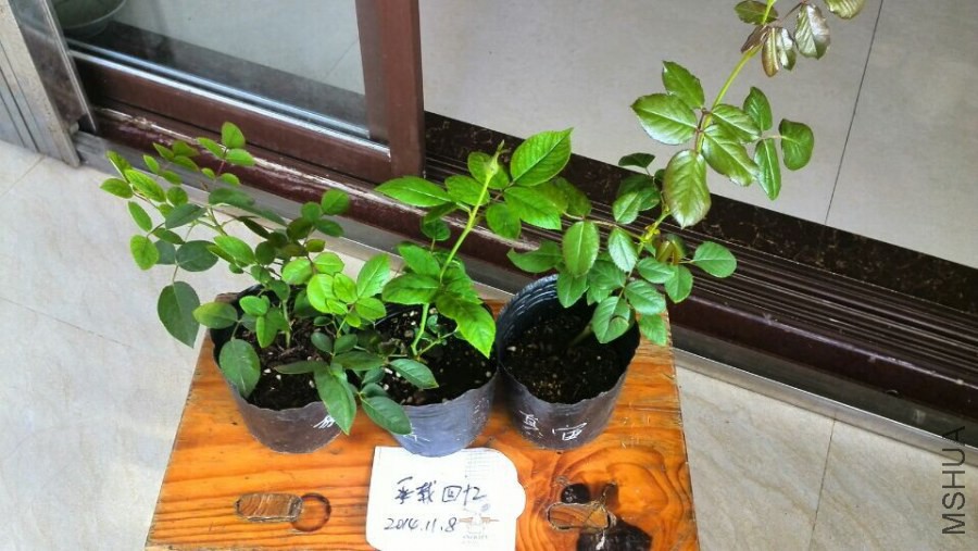 QQͼƬ20141108092017.jpg