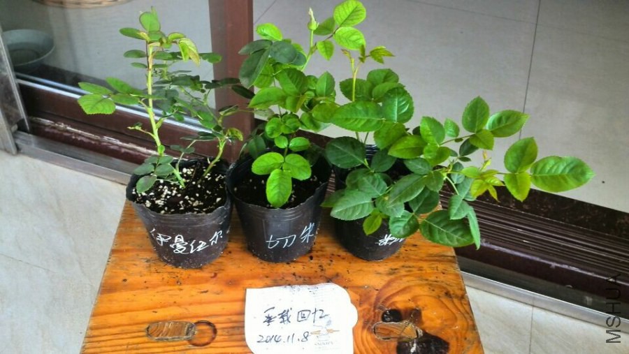 QQͼƬ20141108093522.jpg