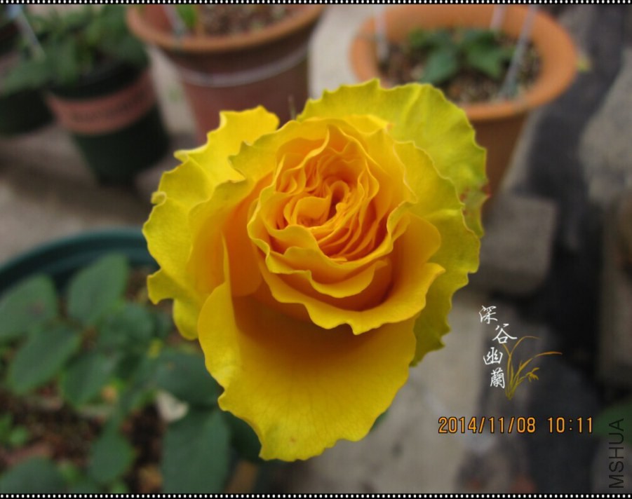 QQͼƬ20080806001259.jpg