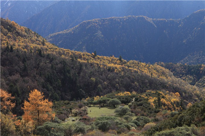 ����﹵֮�� (12).JPG