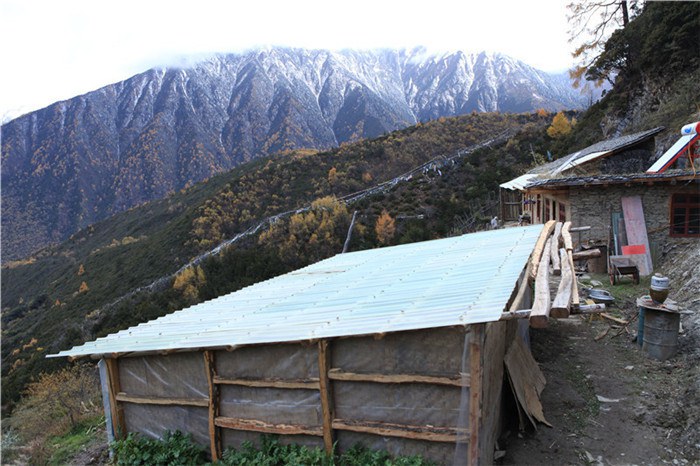 ����﹵֮�� (14).JPG