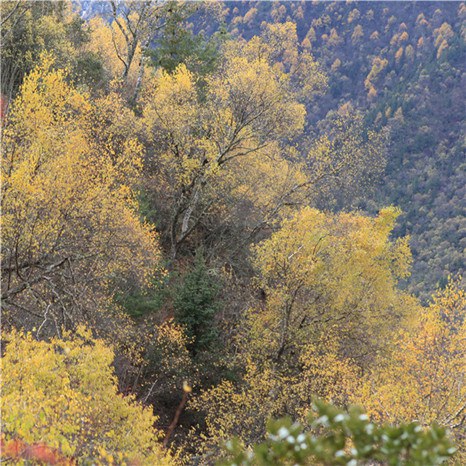 ����﹵֮�� (15).jpg