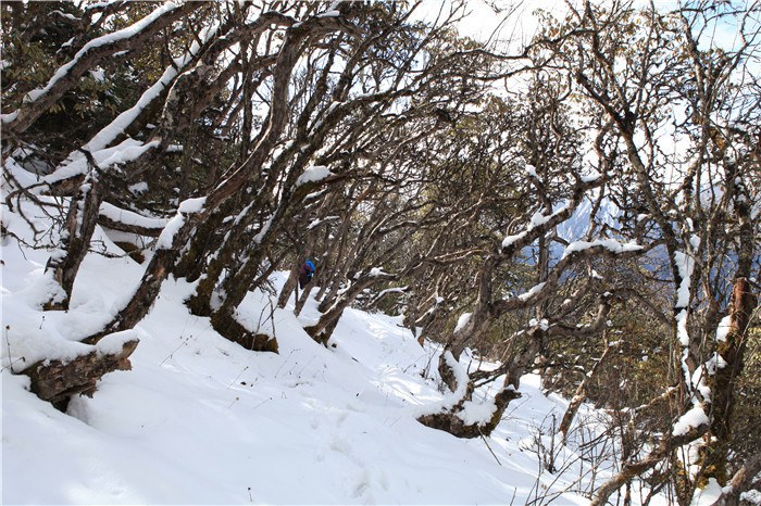 ����﹵֮��£� (11).JPG