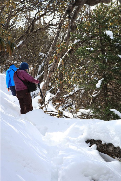 ����﹵֮��£� (12).JPG