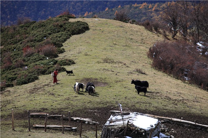 ����﹵֮��£� (14).JPG