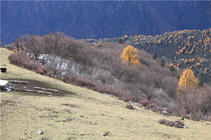 ����﹵֮��£� (15).JPG