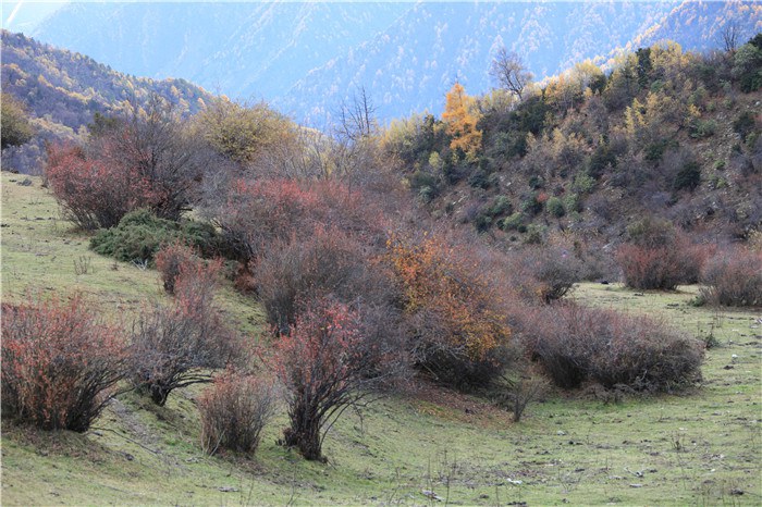 ����﹵֮��£� (19).JPG