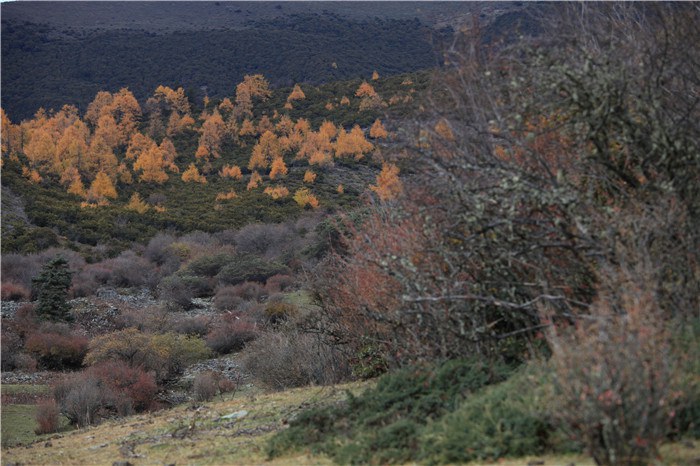 ����﹵֮��£� (20).JPG