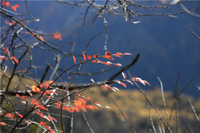 ����﹵֮��£� (22).JPG