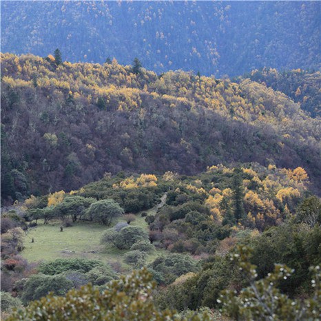 ����﹵֮��£� (23).jpg