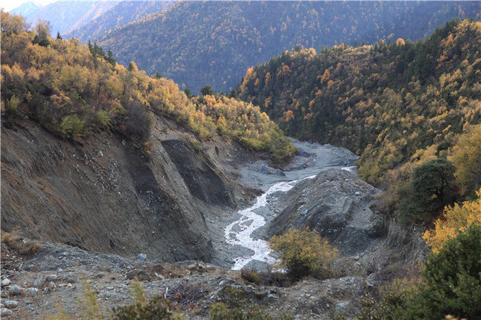 ����﹵֮��£� (25).JPG