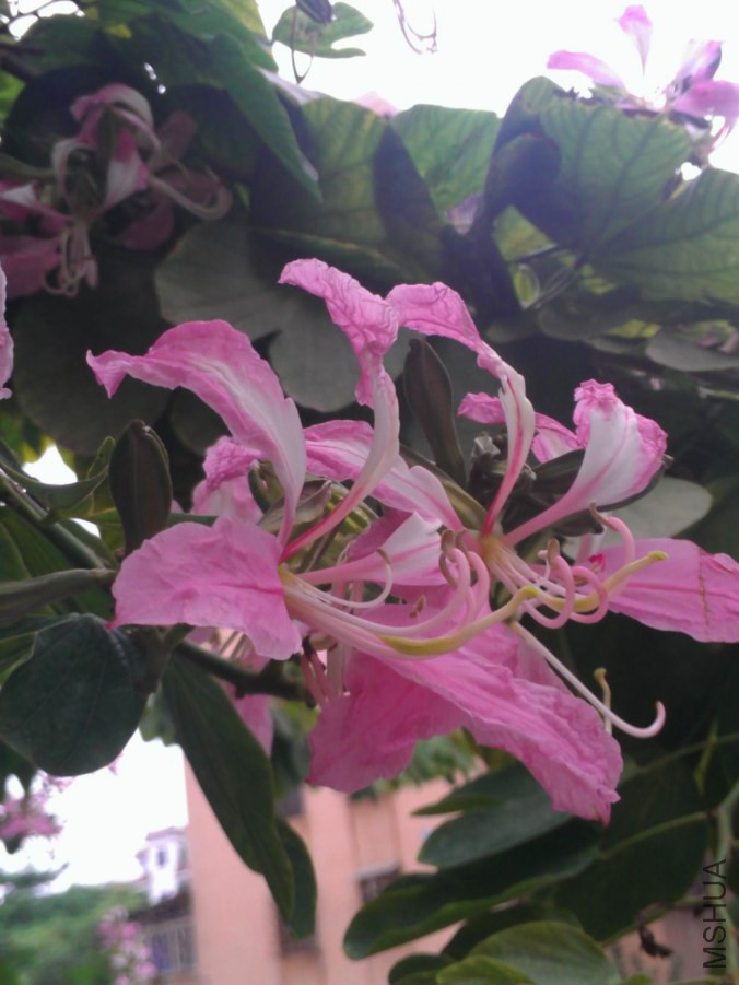 ���Ž���