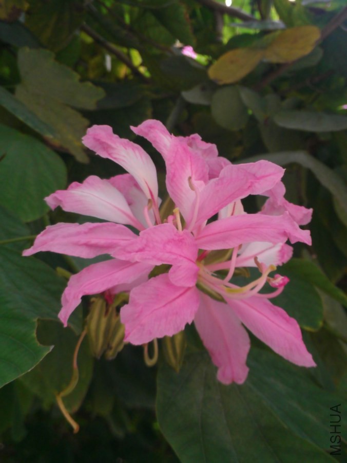 ����һ��