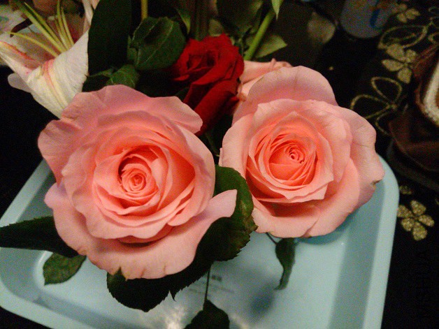 DSC_0011.jpg