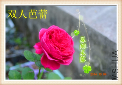 ˫�˰���02.png