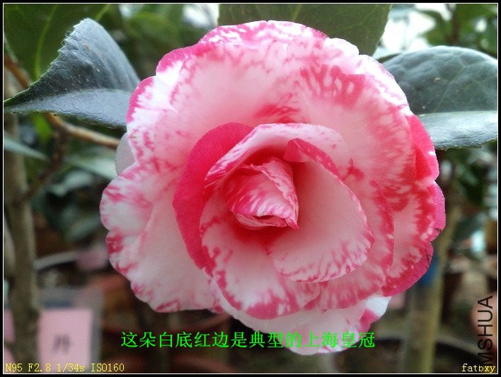09��ĵ��_����.jpg