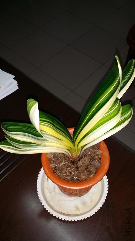 20141110_185418.jpg