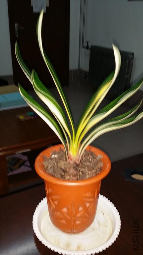 20141110_185448.jpg
