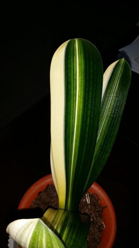 20141110_185510.jpg