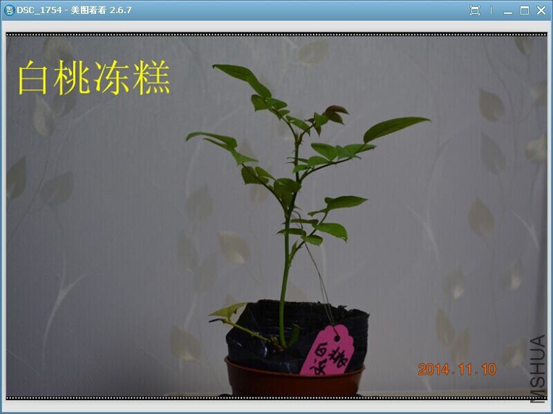 QQͼƬ20141110204741.jpg