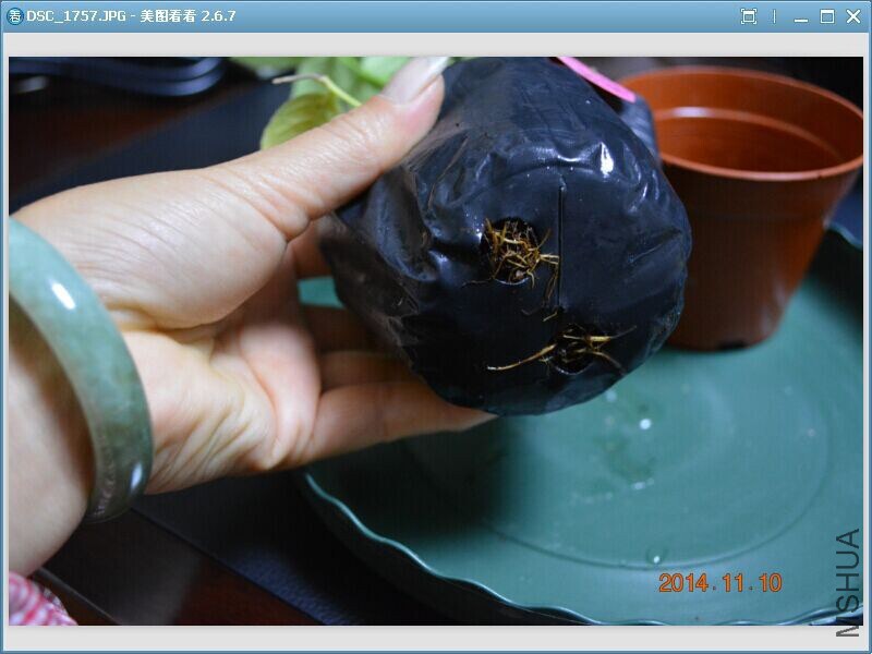 QQͼƬ20141110204702.jpg
