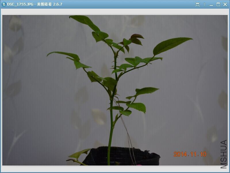 QQͼƬ20141110204709.jpg