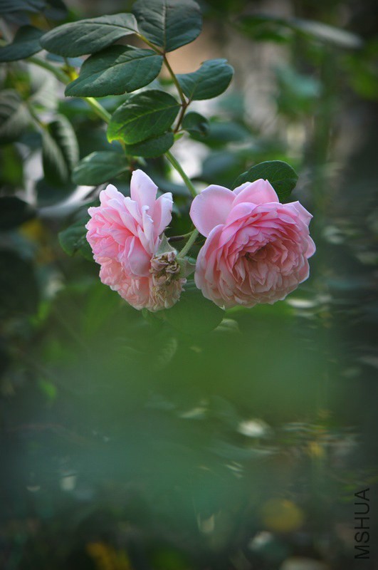 DSC_7577.jpg