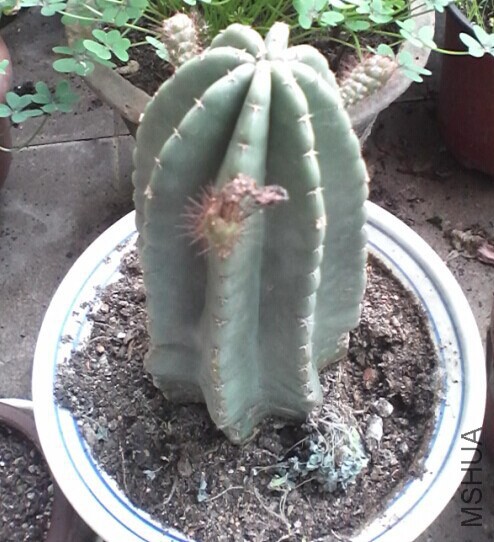 QQͼƬ20141111100905.jpg