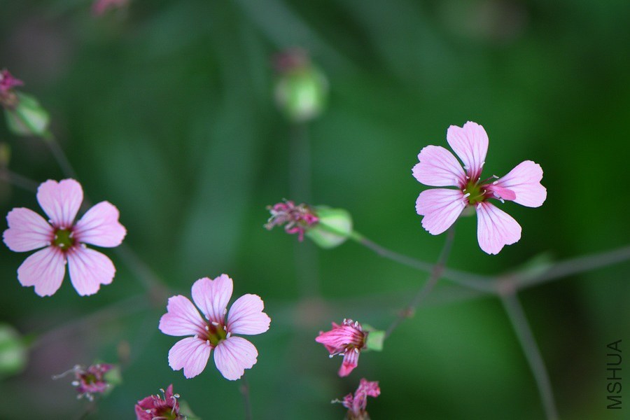 DSC_6779.jpg