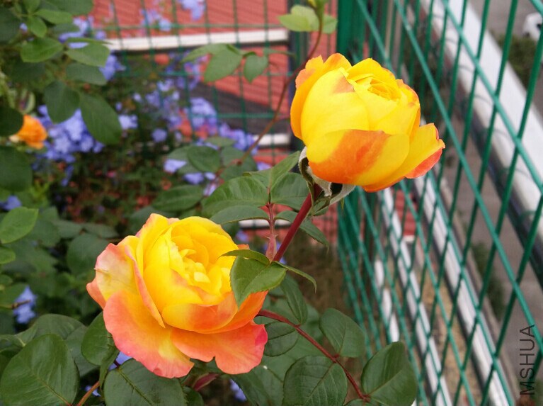 QQͼƬ20141030121847.jpg