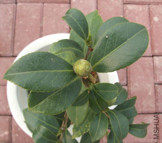 �����ʹ�--����