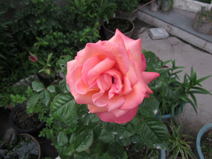 06.jpg