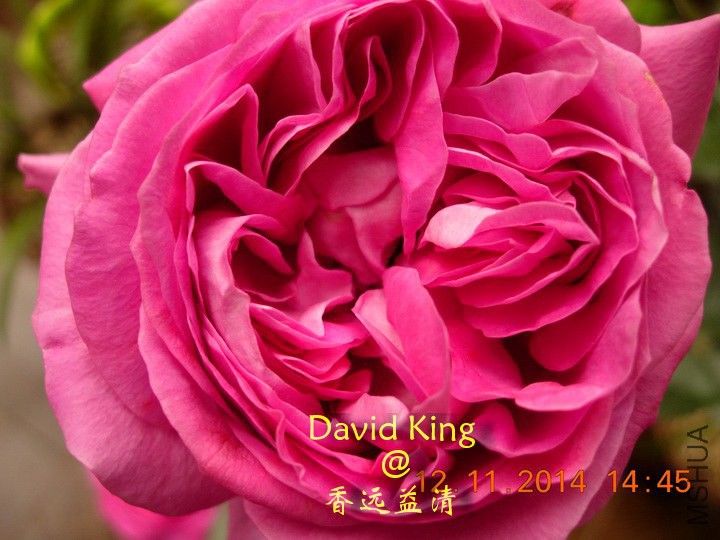 lgDSCN1271_resize.JPG