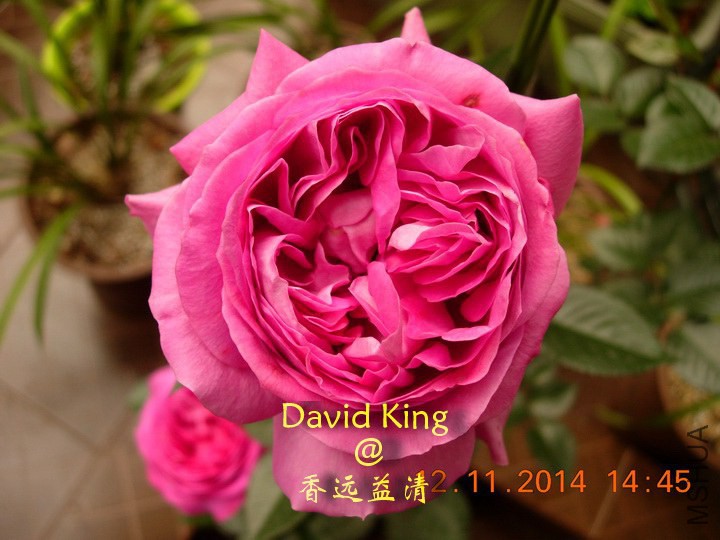 lgDSCN1269_resize.JPG