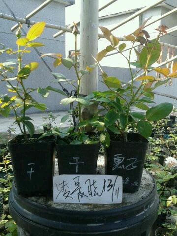 QQͼƬ20141113101153.jpg