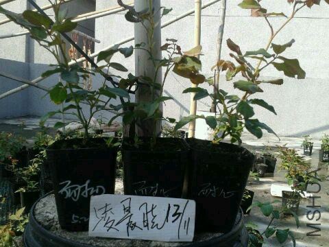 QQͼƬ20141113101204.jpg