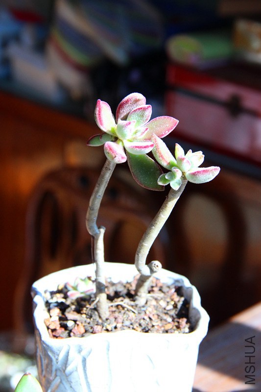 20131129_����1.jpg