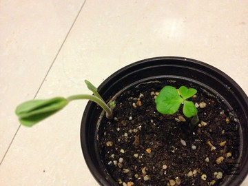 ������л����� 2014-11-11