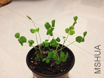 �����л����� 2014-11-11