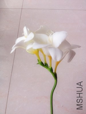2013-3��ѩ��