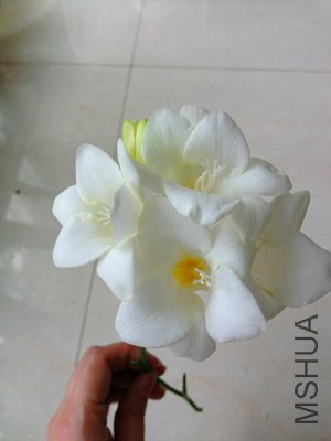 2013-3��ѩ��