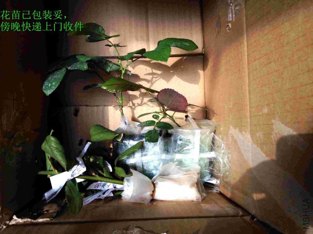 2014-11-14 105356.jpg