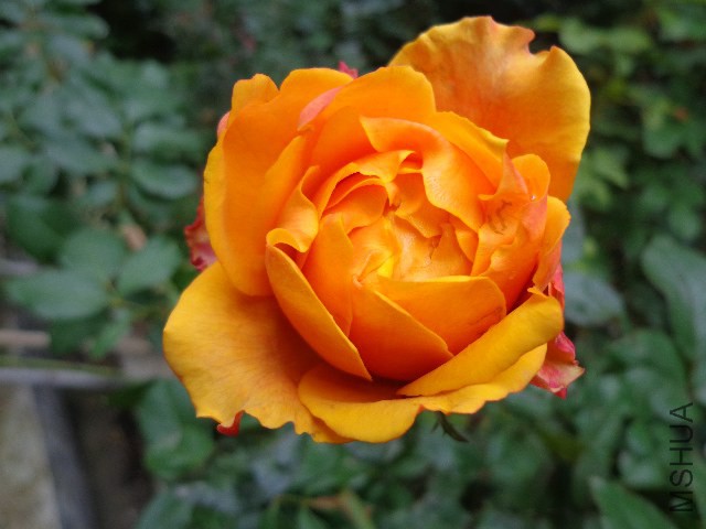 DSC05863.JPG