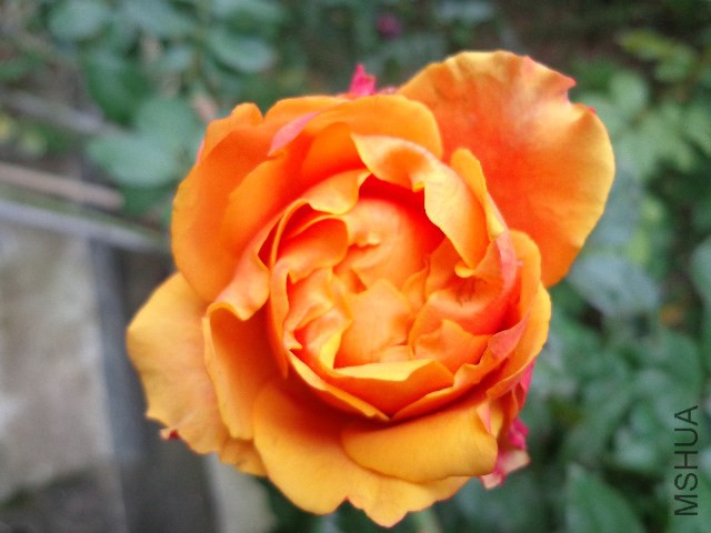 DSC05864.JPG