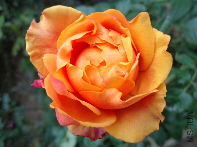 DSC05865.JPG