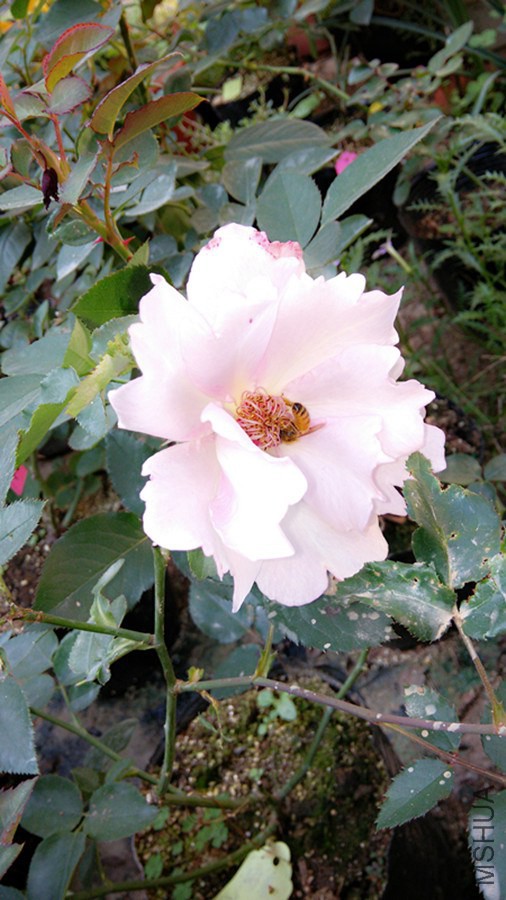 C360_2014-11-14-13-32-31-509.jpg