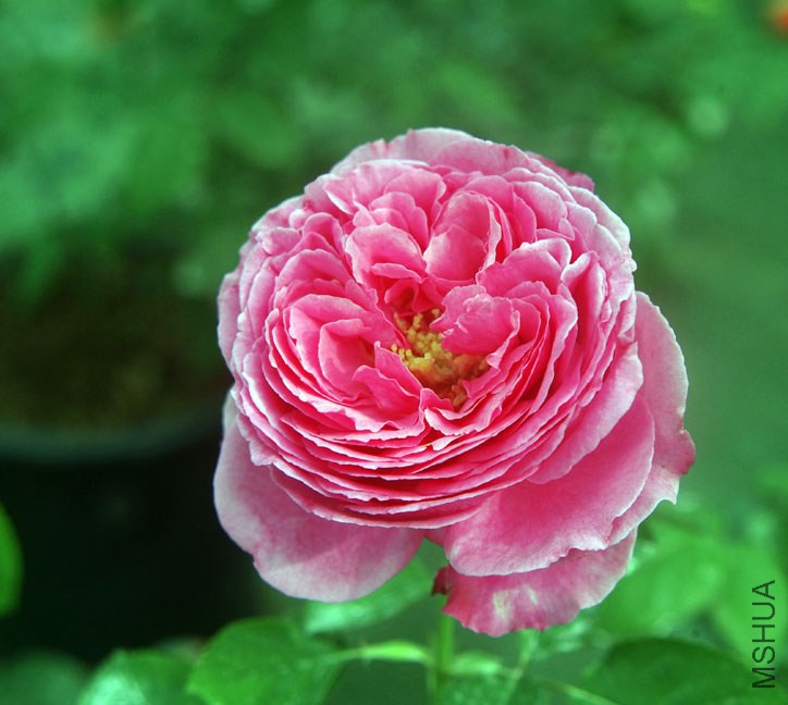 DSCF0708.jpg