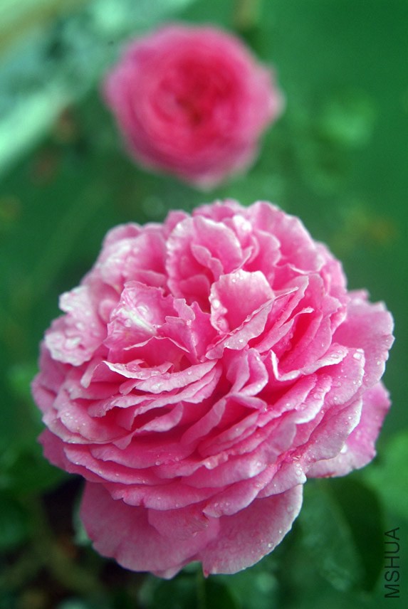DSCF0751.jpg