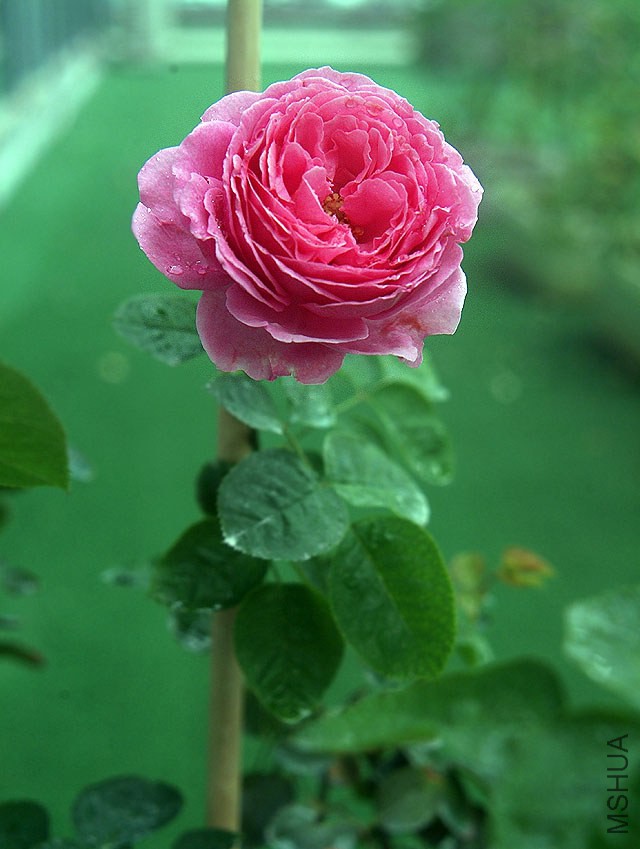 DSCF0755.jpg